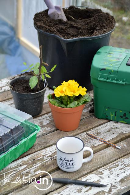 Naturalne nawozy i środki ochrony roślin