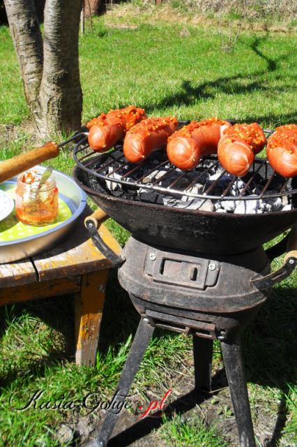 Za nami już pierwsze grillowanie.  Najpierw zrobiliśmy sobie długą wycieczkę rowerową, a następnie pojechaliśmy na nasz ogródek grillować kiełbaski.  Bardzo lubimy właśnie takie, posmarow...