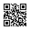 qr code url