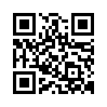 qr code url