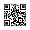 qr code url