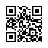 qr code url