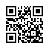 qr code url