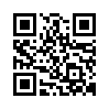 qr code url