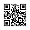 qr code url