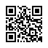 qr code url