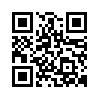 qr code url