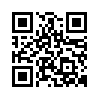 qr code url