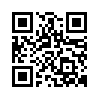 qr code url