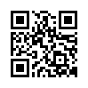 qr code url