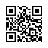 qr code url